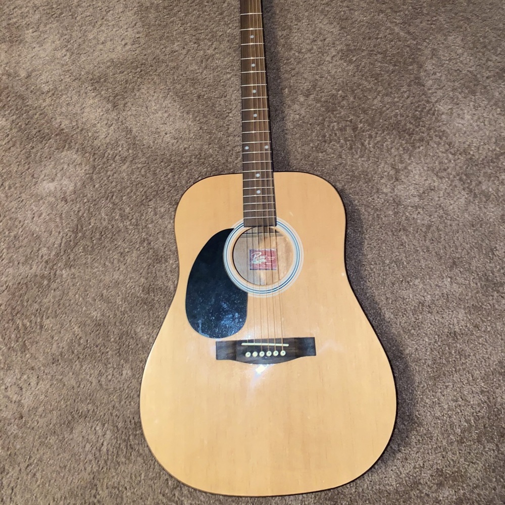 Rogue Guitar in good condition